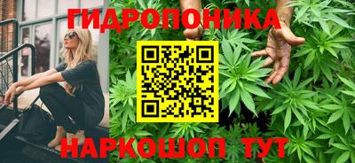 спиды Ливны
