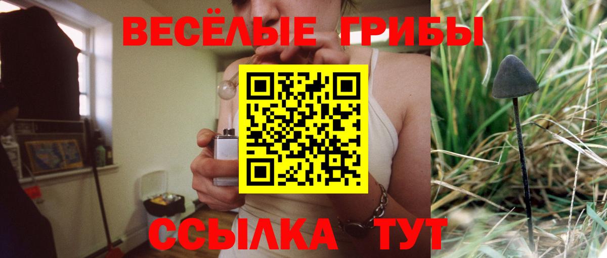 Псилоцибиновые грибы мухоморы Горно-Алтайск